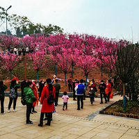 ����֮��ɫ271-��ů����������