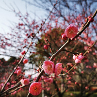 ��������ʱ