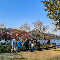 ����ʱ�ڣ�����֮ĩ����ɽ÷��ʢ����2023.02.16