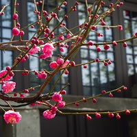 �紺�Ľ���÷��