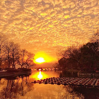 ��ϼ�����÷���ɽ�����