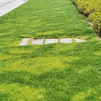 �ֻ�����