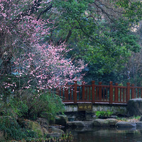 С����ĺ�÷�������羰��������