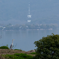 һ�빴���� ���