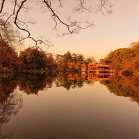 ���ս�ɽ�������绨���㡣