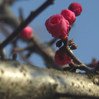 ÷���ֿ��ţ�3��