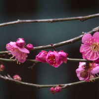 ÷���ֿ��ţ� 4��