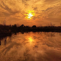 �ճ�����ÿһ�죨2��