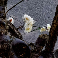 �����¡��ù���Ժ����÷׮÷��ʢ��  2023.02.20