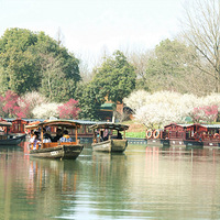 ��Ϫ��÷�����ϣ�