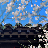 ��Ϫ����ˮ�֡�