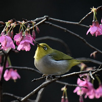 ɽӣ���ϵ����ۡ�