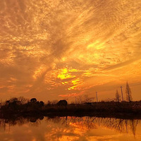 �ճ�����ÿһ�죨4��