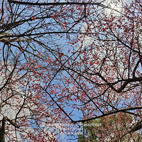 ����÷�������ˡ�