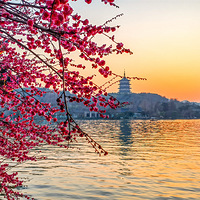 ˫Ͷ�ű��ϵ�һ�ú�÷      2023.02.21