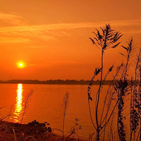 �ճ�����ÿһ�죨5��