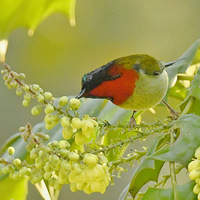 ʮ�����ϵ�̫����2��