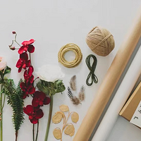 ���˽���Ů����ʲô������ʣ���6��ů�ĺ���ֵ������