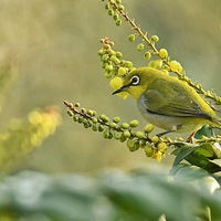 ʮ�����ϵ�������6��