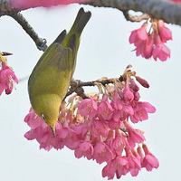 ɽӣ���ϵ�������2��