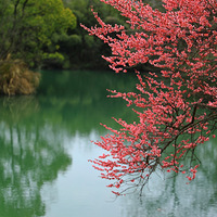 ��ˮ��ĺ�÷��