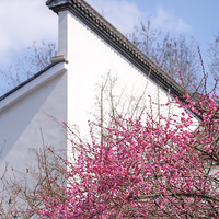 ���ݿ����������÷��