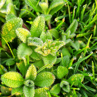 ��������ͣ���������ࡣ