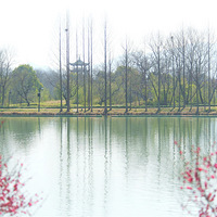 ��Ϫ��÷�����£�