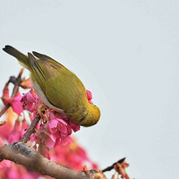 ɽӣ���ϵ�������3��