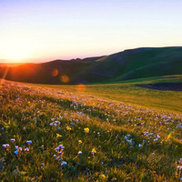 �������е��ݽŰ���������