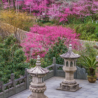 ���ݾ����½辰��÷�������������