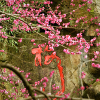 �����÷��Ӱ