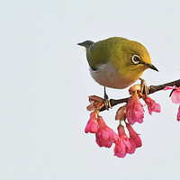 ɽӣ���ϵ�������4��