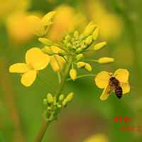 �������ˣ��Ͳ˻����ˡ�