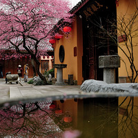 ����������÷��