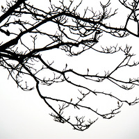 ������Ϣ