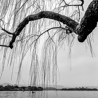 ˮī����     2023.02.26