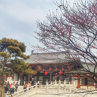 ���ٹ���