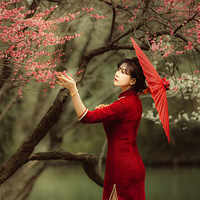 ���������У�����һ֦��