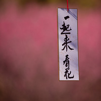 �ν�ë��������