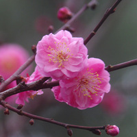 ÷���ֿ��ţ�5��