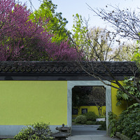 ����ͨ�Ĵ�������ľ��