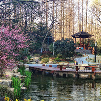 �߹�����Ϫ