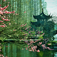 ��ԺѰ÷����