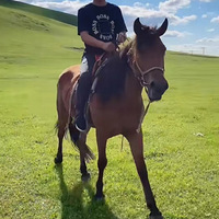 ��¼һ����������