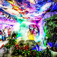 �����ػ�����21-����ҹɫ2