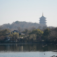 �����Ҫ����