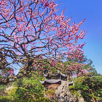 ����̽��