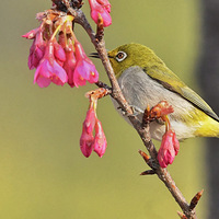 ɽӣ���ϵ�������6��