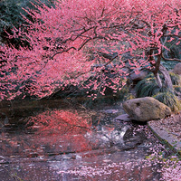 ���ݵ�÷��